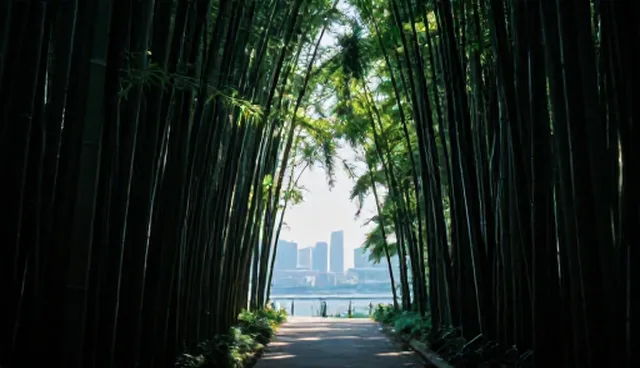 保定市益康造纸厂