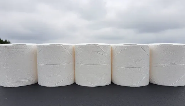 支持卫生纸在家庭场景中的使用误区与维护建议